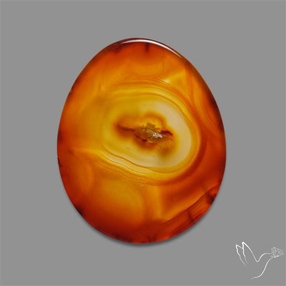 Gemmy Montana Agate Flat Slice Cabochon