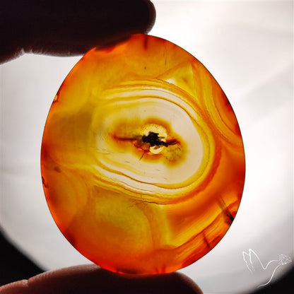 Gemmy Montana Agate Flat Slice Cabochon