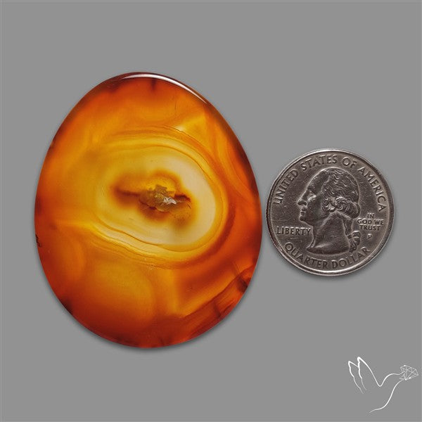 Gemmy Montana Agate Flat Slice Cabochon