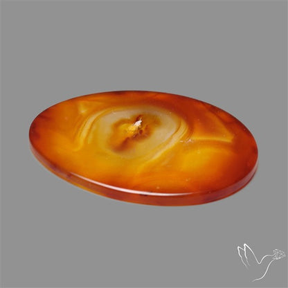 Gemmy Montana Agate Flat Slice Cabochon