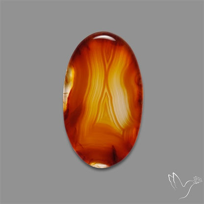 Gemmy Montana Agate Flat Slice Cabochon
