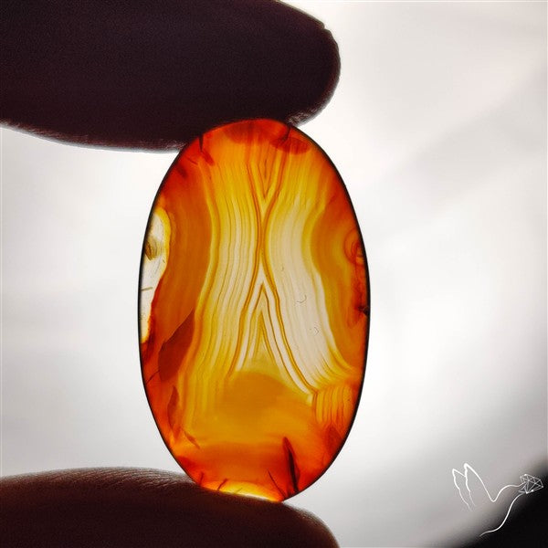 Gemmy Montana Agate Flat Slice Cabochon