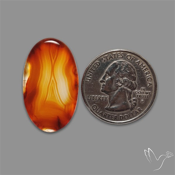 Gemmy Montana Agate Flat Slice Cabochon