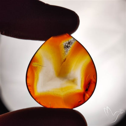 Gemmy Montana Agate Flat Slice Cabochon