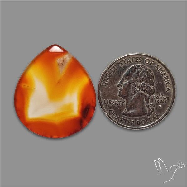 Gemmy Montana Agate Flat Slice Cabochon