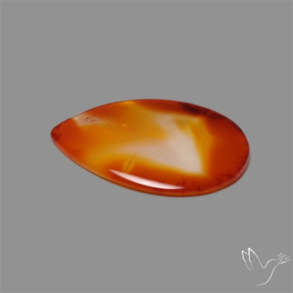 Gemmy Montana Agate Flat Slice Cabochon