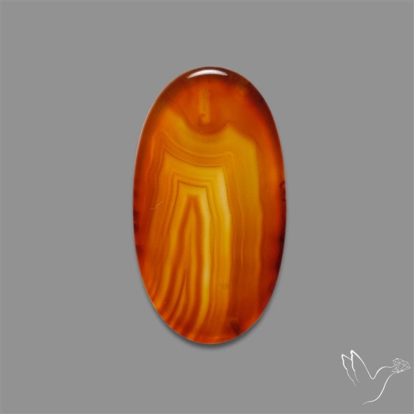 Gemmy Montana Agate Flat Slice Cabochon