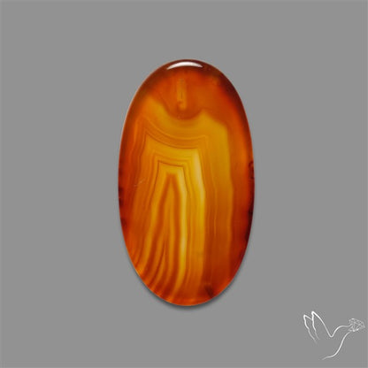 Gemmy Montana Agate Flat Slice Cabochon