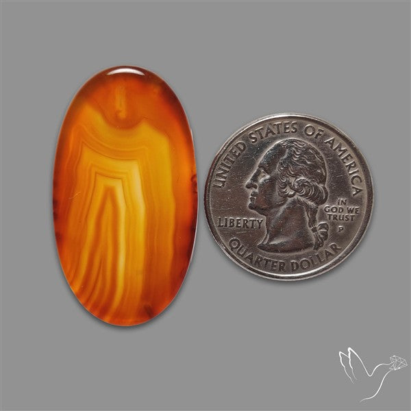 Gemmy Montana Agate Flat Slice Cabochon