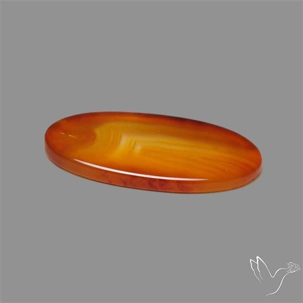 Gemmy Montana Agate Flat Slice Cabochon