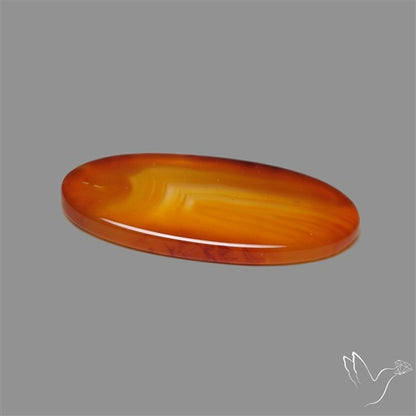 Gemmy Montana Agate Flat Slice Cabochon