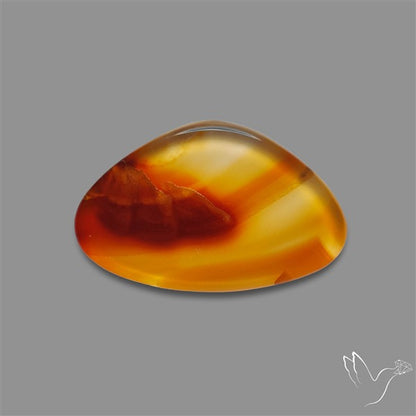 Gemmy Montana Agate Flat Slice Cabochon