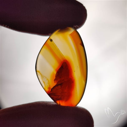 Gemmy Montana Agate Flat Slice Cabochon
