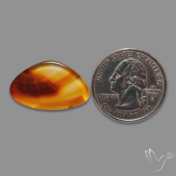 Gemmy Montana Agate Flat Slice Cabochon
