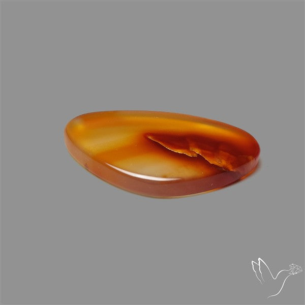 Gemmy Montana Agate Flat Slice Cabochon