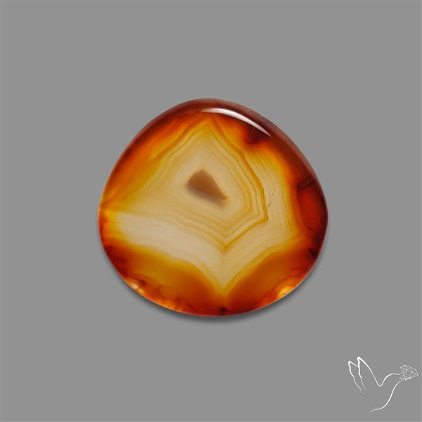Gemmy Montana Agate Flat Slice Cabochon