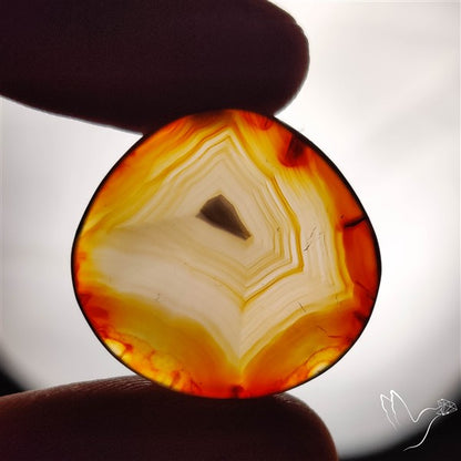 Gemmy Montana Agate Flat Slice Cabochon