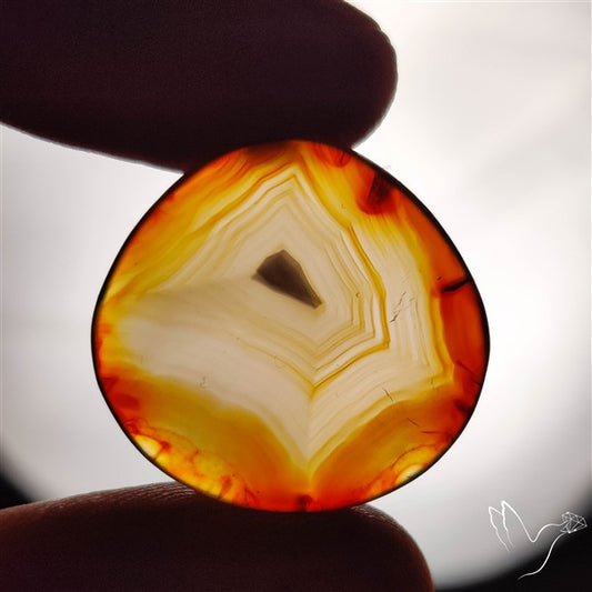 Gemmy Montana Agate Flat Slice Cabochon