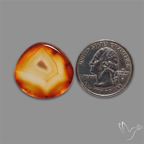 Gemmy Montana Agate Flat Slice Cabochon