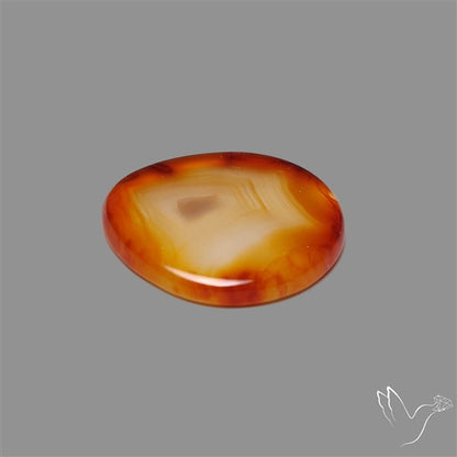 Gemmy Montana Agate Flat Slice Cabochon