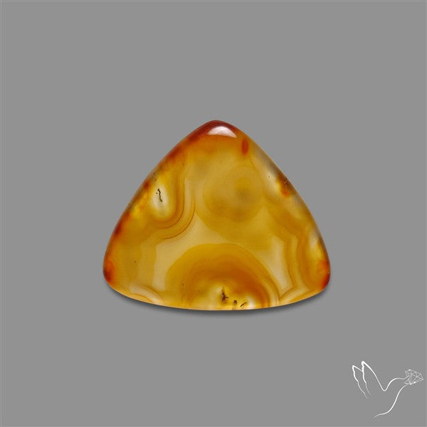 Gemmy Montana Agate Flat Slice Cabochon