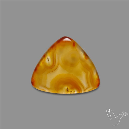 Gemmy Montana Agate Flat Slice Cabochon