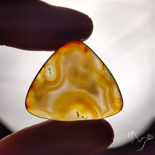 Gemmy Montana Agate Flat Slice Cabochon