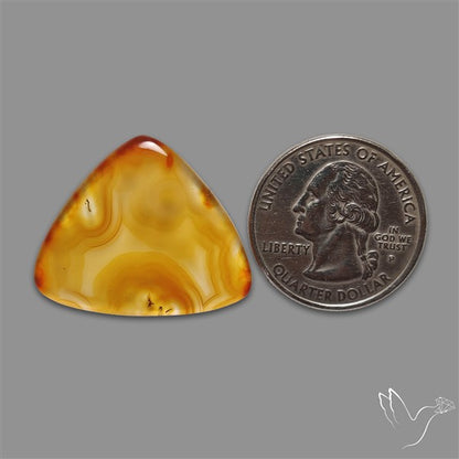 Gemmy Montana Agate Flat Slice Cabochon