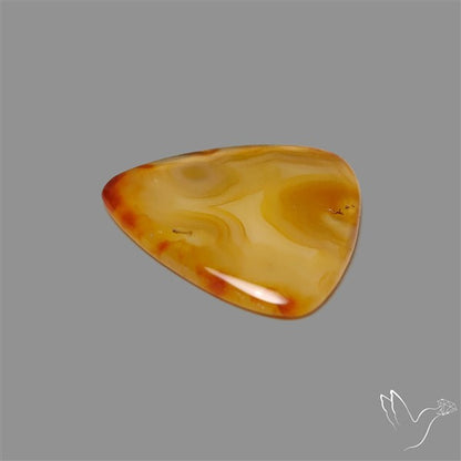 Gemmy Montana Agate Flat Slice Cabochon