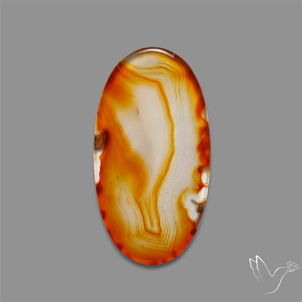Gemmy Montana Agate Flat Slice Cabochon