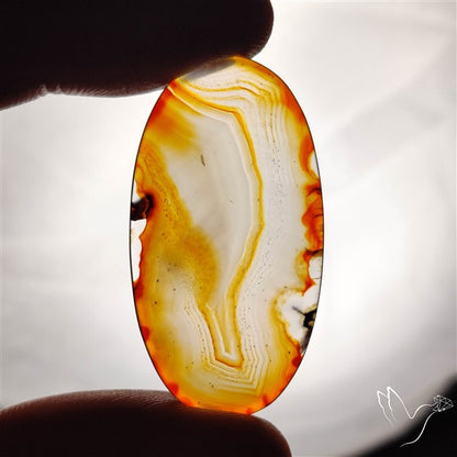 Gemmy Montana Agate Flat Slice Cabochon