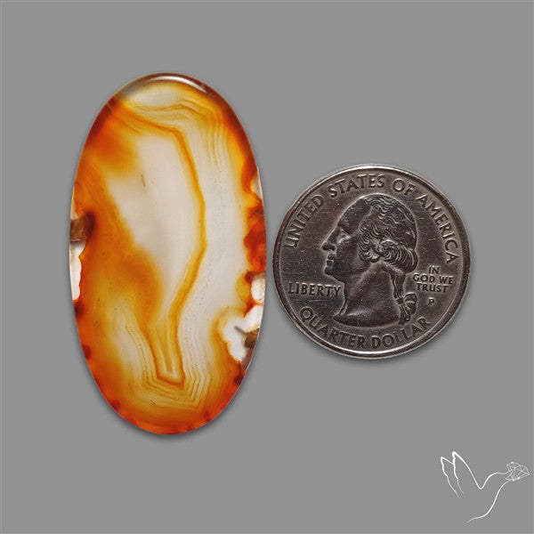 Gemmy Montana Agate Flat Slice Cabochon