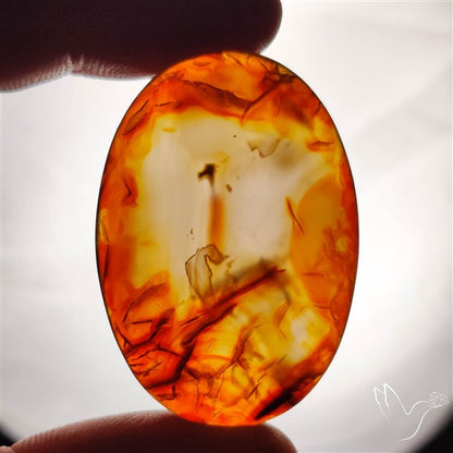 Montana Agate Cabochon