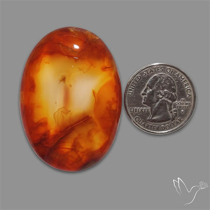 Montana Agate Cabochon