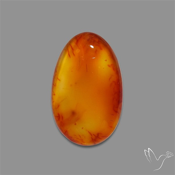 Montana Agate Cabochon
