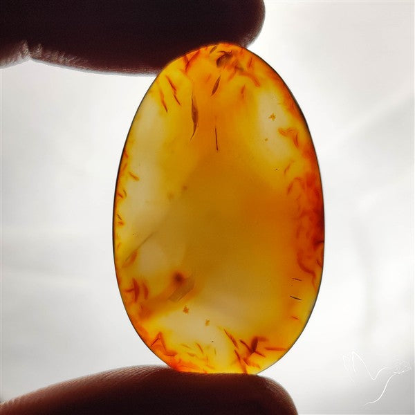 Montana Agate Cabochon