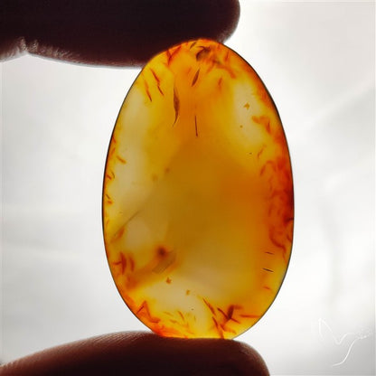 Montana Agate Cabochon