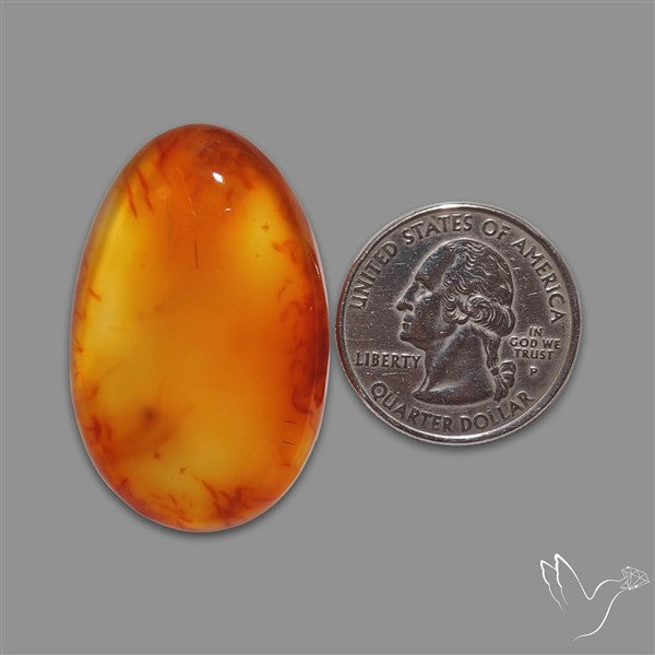 Montana Agate Cabochon