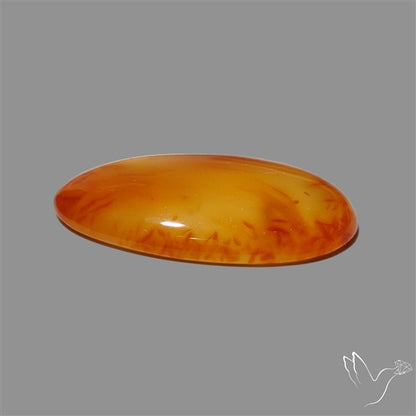 Montana Agate Cabochon
