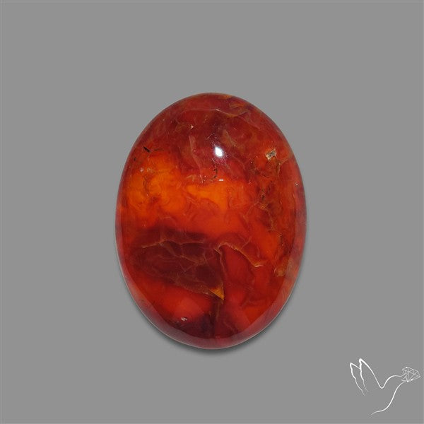 Dark Montana Agate Cabochon