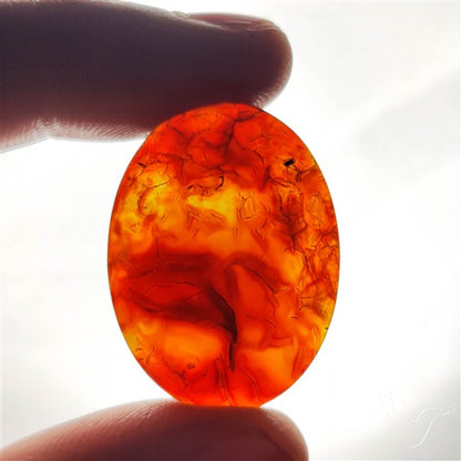 Dark Montana Agate Cabochon