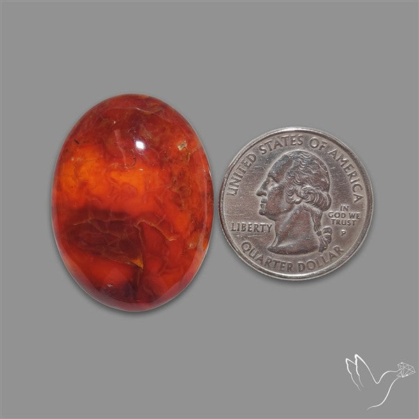 Dark Montana Agate Cabochon