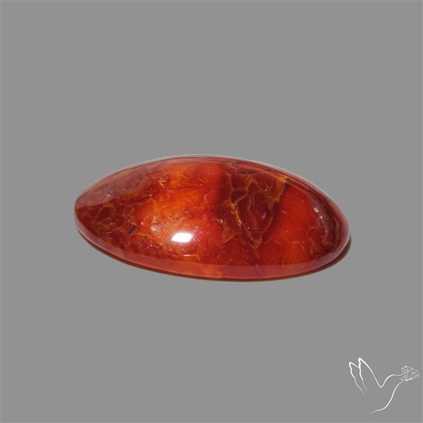 Dark Montana Agate Cabochon