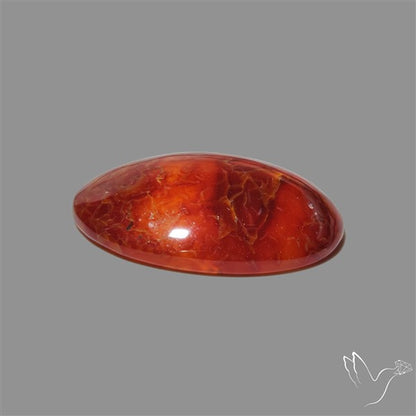 Dark Montana Agate Cabochon