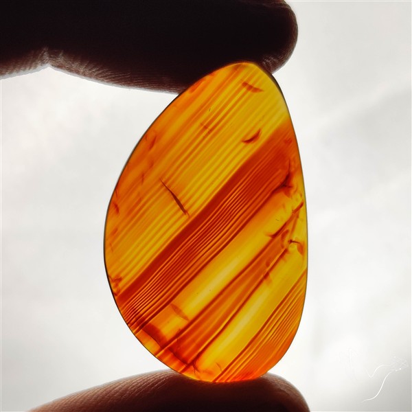 Montana Agate Cabochon