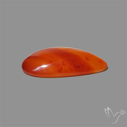 Montana Agate Cabochon