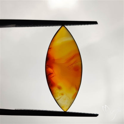 Montana Agate Cabochon