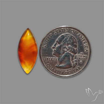 Montana Agate Cabochon