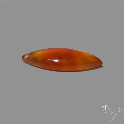 Montana Agate Cabochon