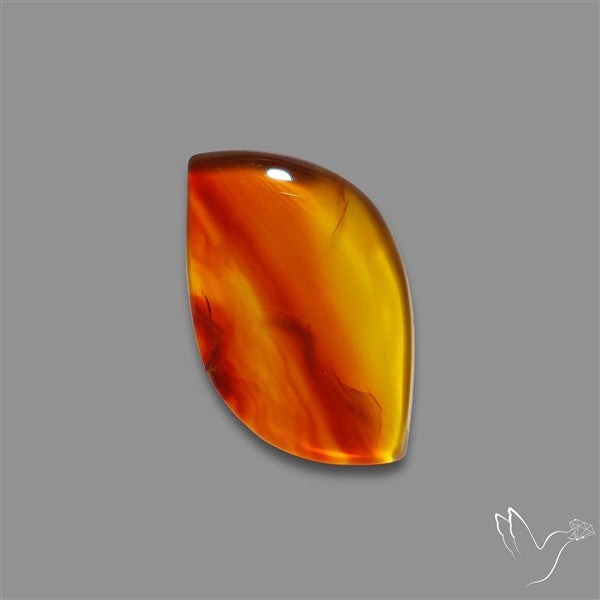 Montana Agate Cabochon